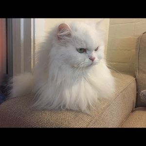 BUNDLE DISCOUNT!!!! 3 or more items 15%